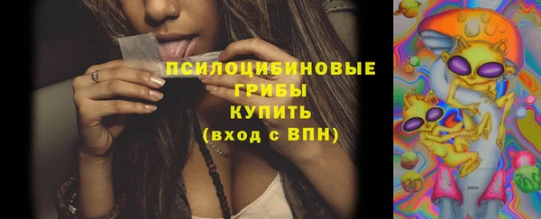 мдпв Инта