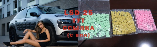 мдпв Инта