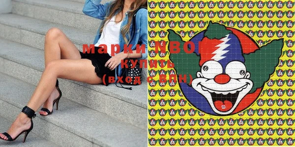мдпв Инта