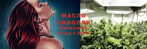 мдпв Инта