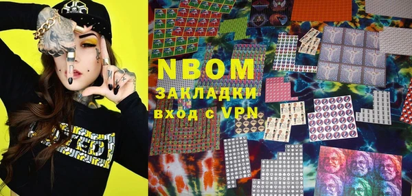 мдпв Инта