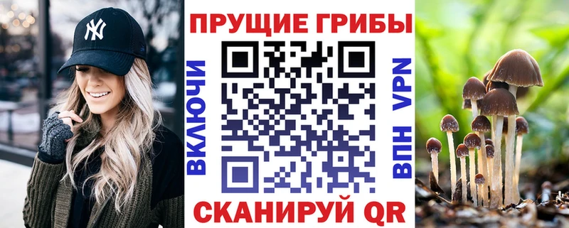 Купить  Тюмень  Псилоцибиновые грибы Magic Shrooms 